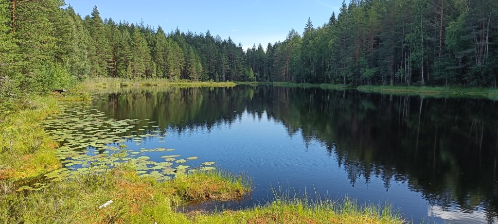 Suomalainen metsäjärvi